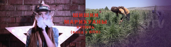 трава Белокуриха